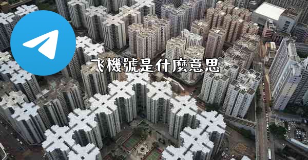 飞機號是什麼意思