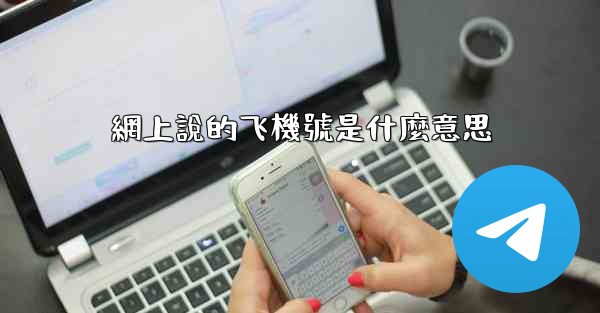 網上說的飞機號是什麼意思