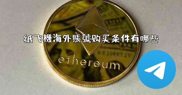 纸飞機海外賬號购买条件有哪些
