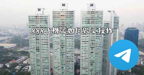 888飞機號如何购买操作