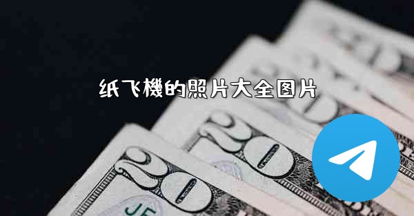 纸飞機的照片大全图片