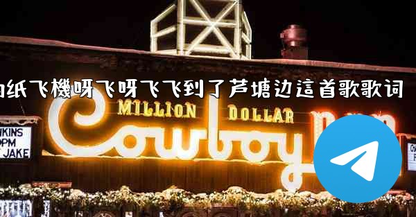 我的纸飞機呀飞呀飞飞到了芦塘边這首歌歌词