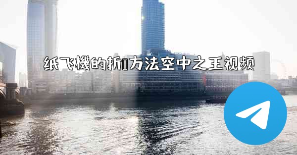 纸飞機的折叠方法空中之王视频