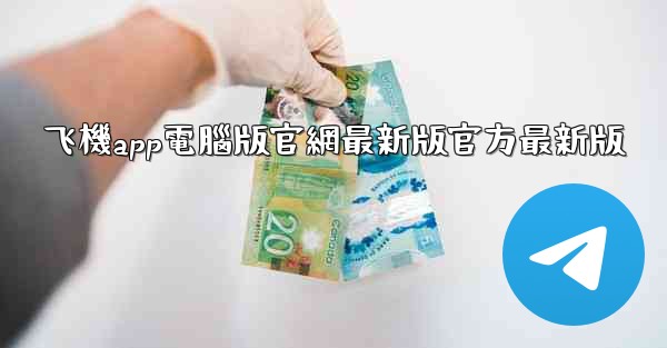 飞機app電腦版官網最新版官方最新版
