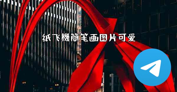 纸飞機簡笔画图片可爱