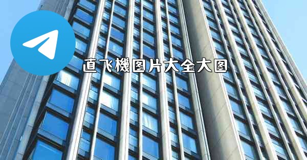 直飞機图片大全大图