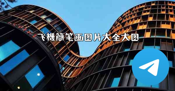 飞機簡笔画图片大全大图