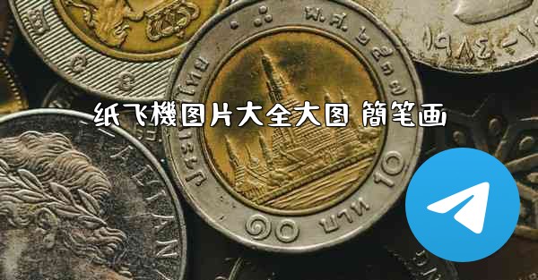 纸飞機图片大全大图 簡笔画