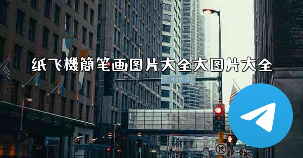 纸飞機簡笔画图片大全大图片大全