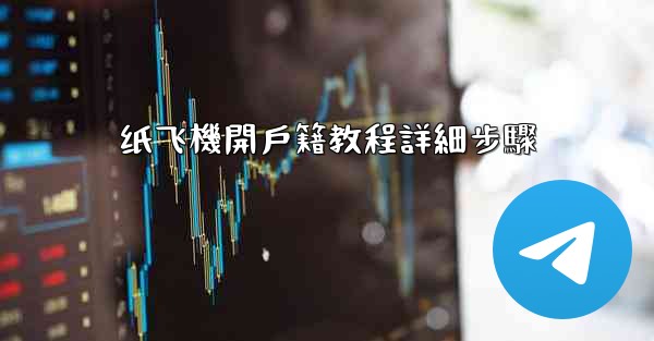 纸飞機開戶籍教程詳細步驟