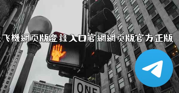 纸飞機網页版登錄入口官網網页版官方正版