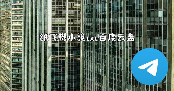 纸飞機小說txt百度云盘