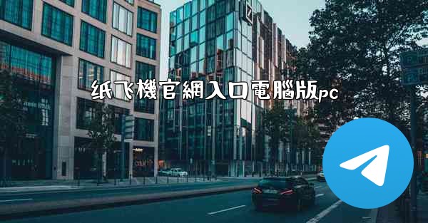 纸飞機官網入口電腦版pc