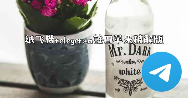 纸飞機telegeram註冊苹果破解版