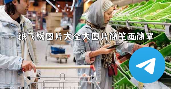 纸飞機图片大全大图片簡笔画簡單