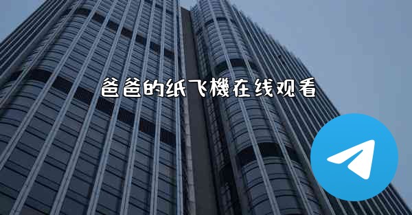 爸爸的纸飞機在线观看