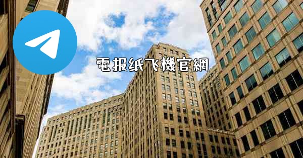 電报纸飞機官網