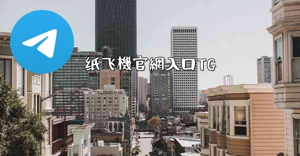 纸飞機官網入口TG