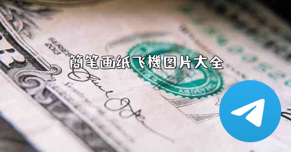 簡笔画纸飞機图片大全