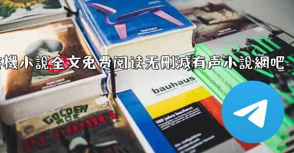 纸飞機小說全文免费阅读无刪減有声小說網吧
