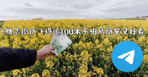 纸飞機怎麼折飞得遠100米不怕风簡單又好看