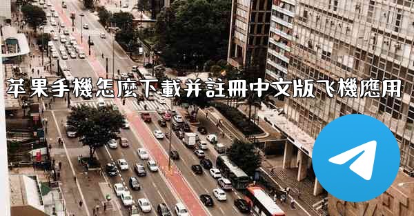 苹果手機怎麼下載并註冊中文版飞機應用