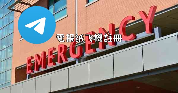 電报纸飞機註冊