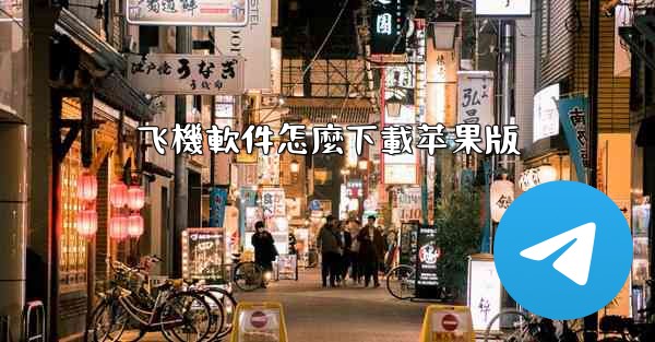 飞機軟件怎麼下載苹果版