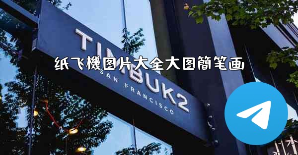 纸飞機图片大全大图簡笔画