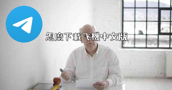 怎麼下載飞機中文版