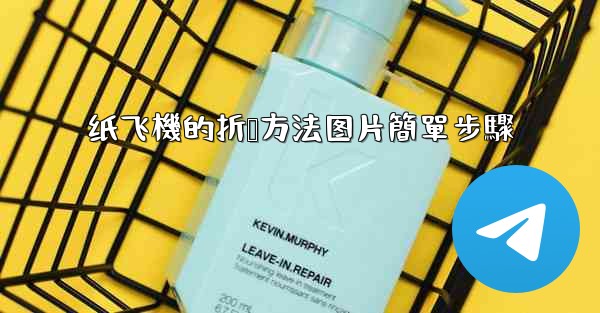 纸飞機的折叠方法图片簡單步驟