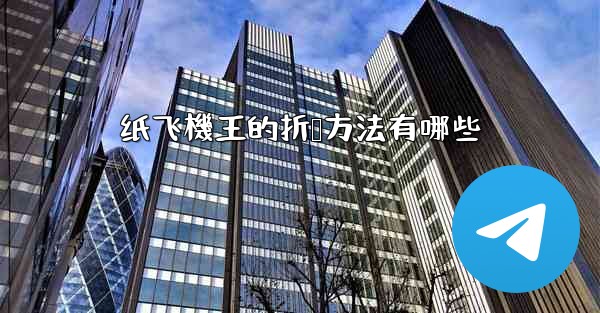 纸飞機王的折叠方法有哪些