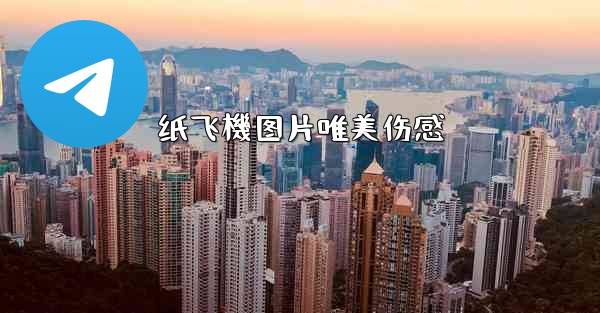 纸飞機图片唯美伤感