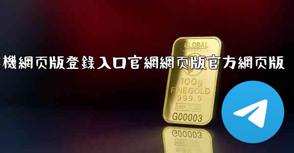 纸飞機網页版登錄入口官網網页版官方網页版