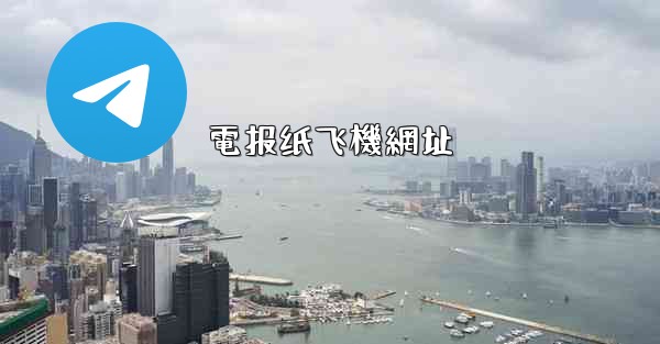 電报纸飞機網址