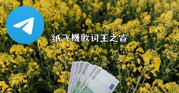 纸飞機歌词王之睿