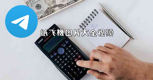 纸飞機图片大全视频