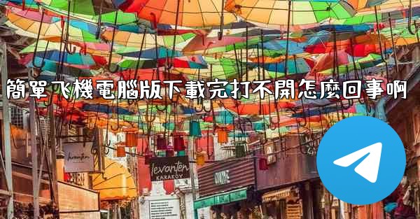 簡單飞機電腦版下載完打不開怎麼回事啊