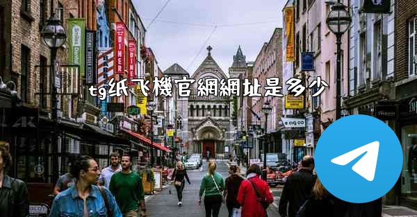 tg纸飞機官網網址是多少