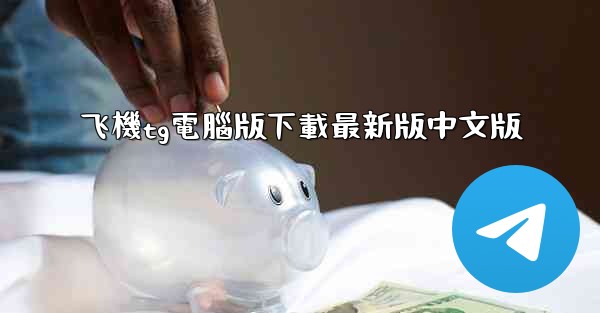 飞機tg電腦版下載最新版中文版