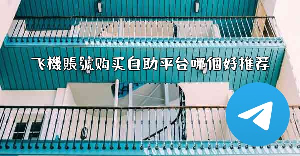 飞機賬號购买自助平台哪個好推荐