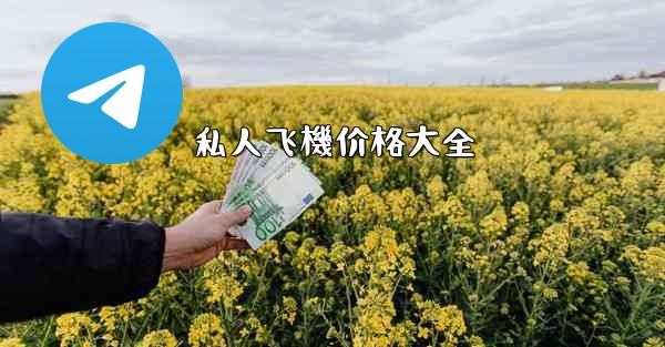 私人飞機价格大全