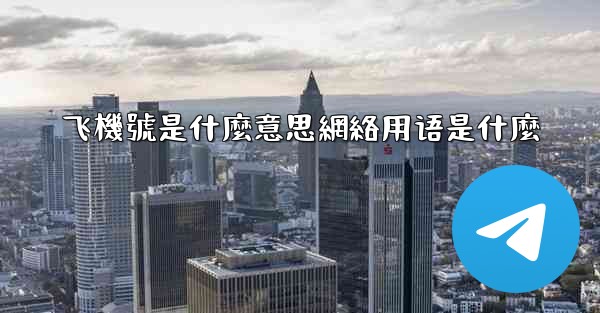 飞機號是什麼意思網絡用语是什麼