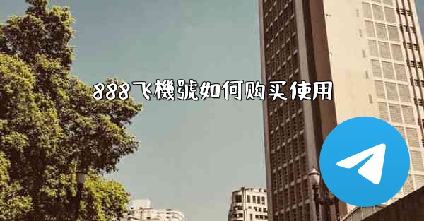 888飞機號如何购买使用