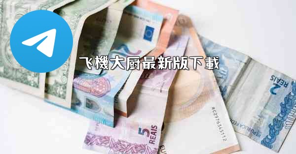 飞機大厨最新版下載