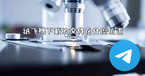 纸飞機下載的文件在什麼位置