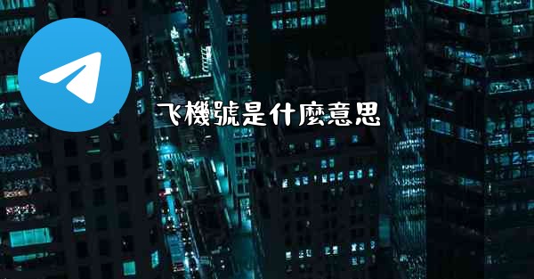 飞機號是什麼意思
