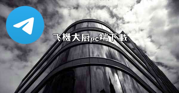 飞機大厨pc端下載