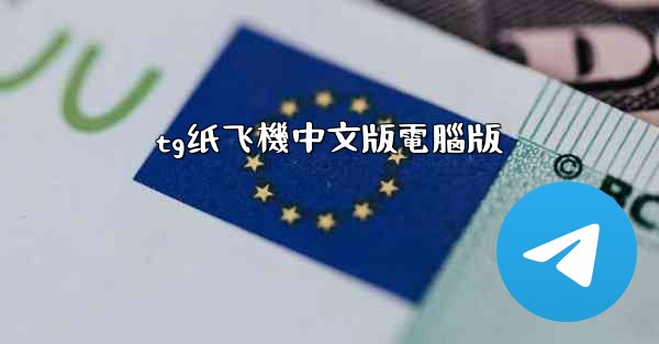 tg纸飞機中文版電腦版