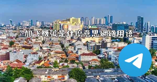 加飞機號是什麼意思網絡用语